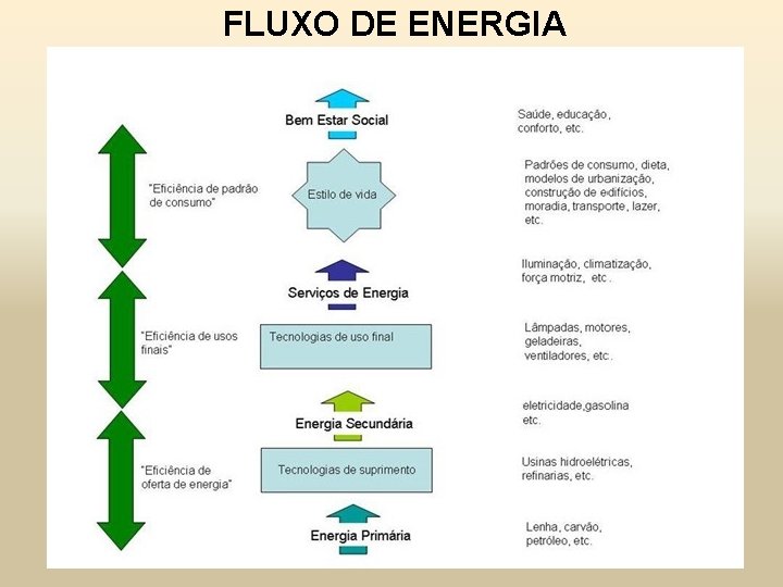 FLUXO DE ENERGIA 