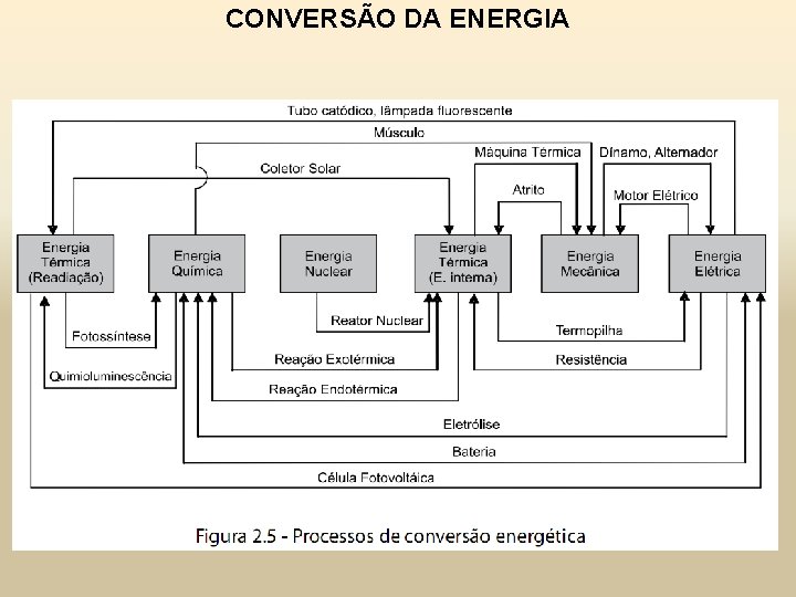 CONVERSÃO DA ENERGIA 
