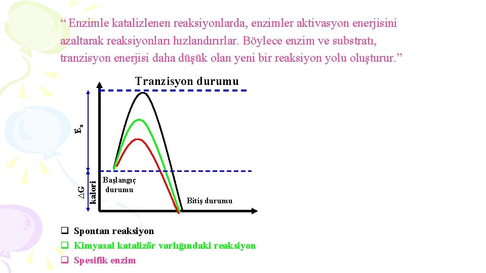 “ Enzimle katalizlenen reaksiyonlarda, enzimler aktivasyon enerjisini azaltarak reaksiyonları hızlandırırlar. Böylece enzim ve substratı,