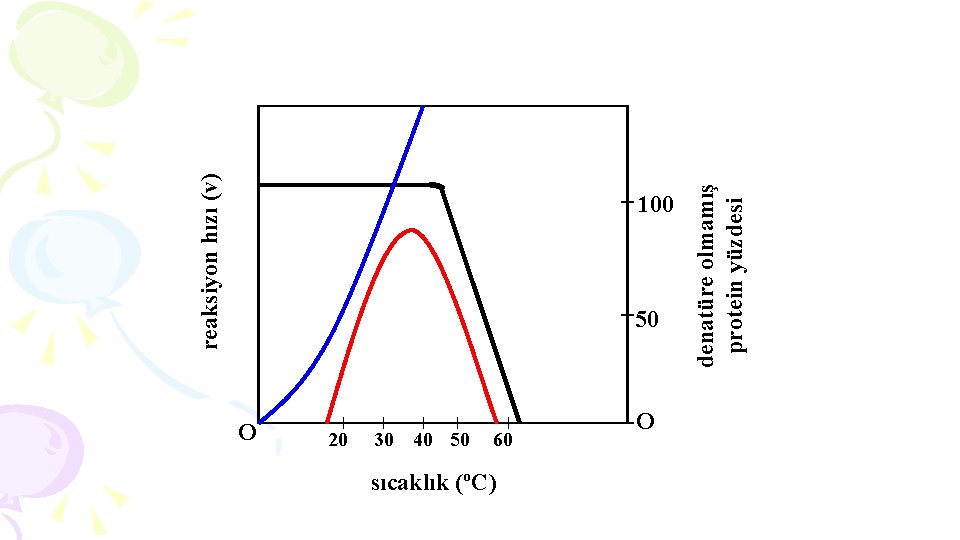 reaksiyon hızı (v) 50 O 20 30 40 50 60 sıcaklık (ºC) O denatüre