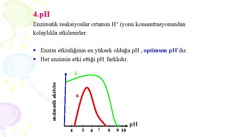 4. p. H Enzimatik reaksiyonlar ortamın H+ iyonu konsantrasyonundan kolaylıkla etkilenirler. § Enzim etkinliğinin