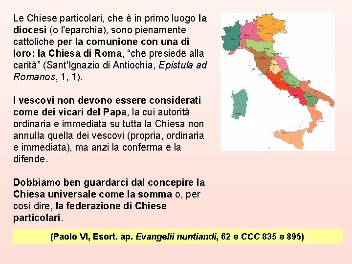 Le Chiese particolari, che è in primo luogo la diocesi (o l'eparchia), sono pienamente