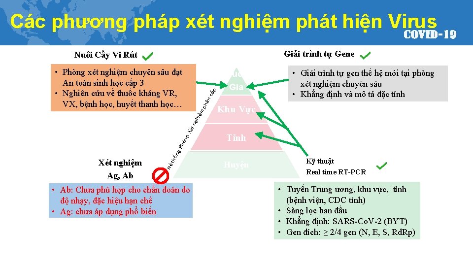 Các phương pháp xét nghiệm phát hiện Virus Giải trình tự Gene Nuôi Cấy