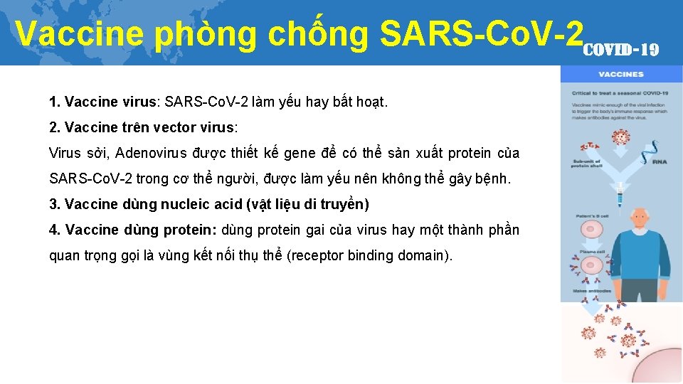 Vaccine phòng chống SARS-Co. V-2 1. Vaccine virus: SARS-Co. V-2 làm yếu hay bất