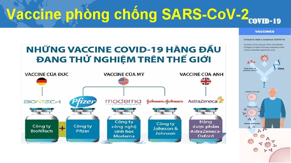 Vaccine phòng chống SARS-Co. V-2 