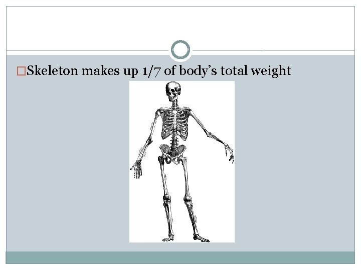 �Skeleton makes up 1/7 of body’s total weight 