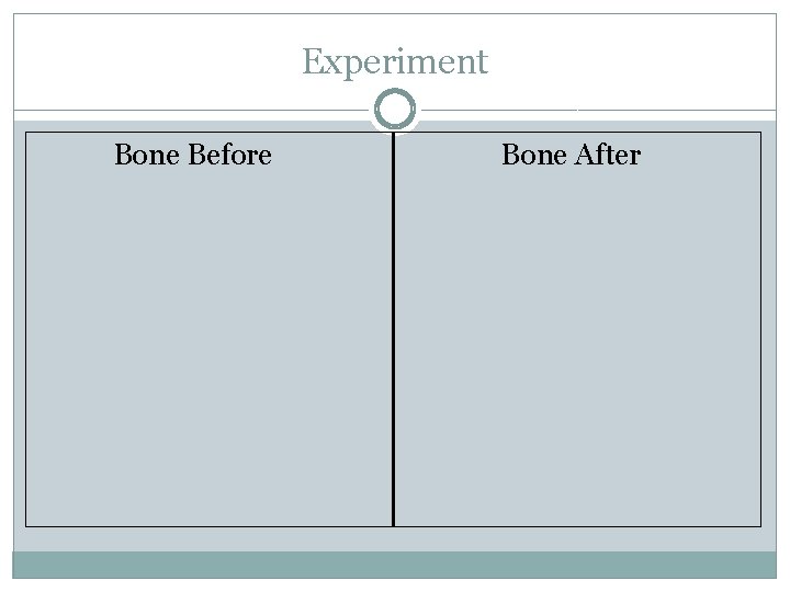 Experiment Bone Before Bone After 