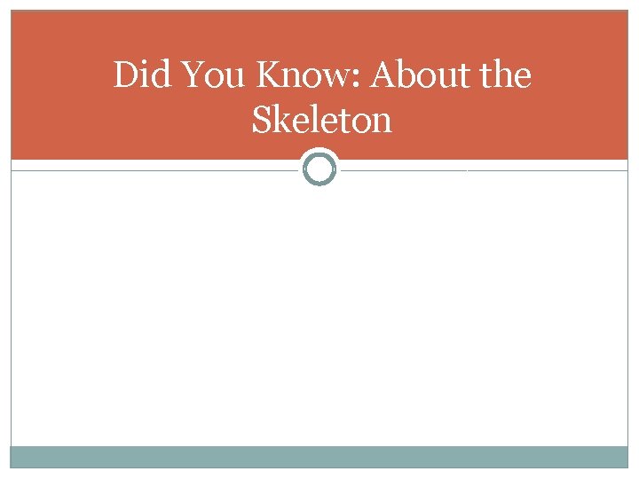 Did You Know: About the Skeleton 