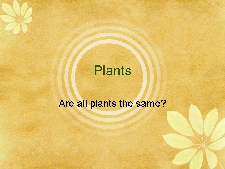 Plants Are all plants the same? 