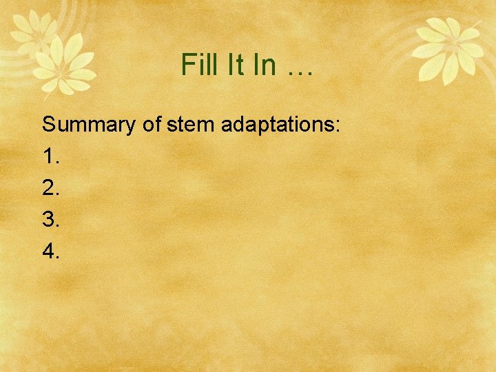 Fill It In … Summary of stem adaptations: 1. 2. 3. 4. 