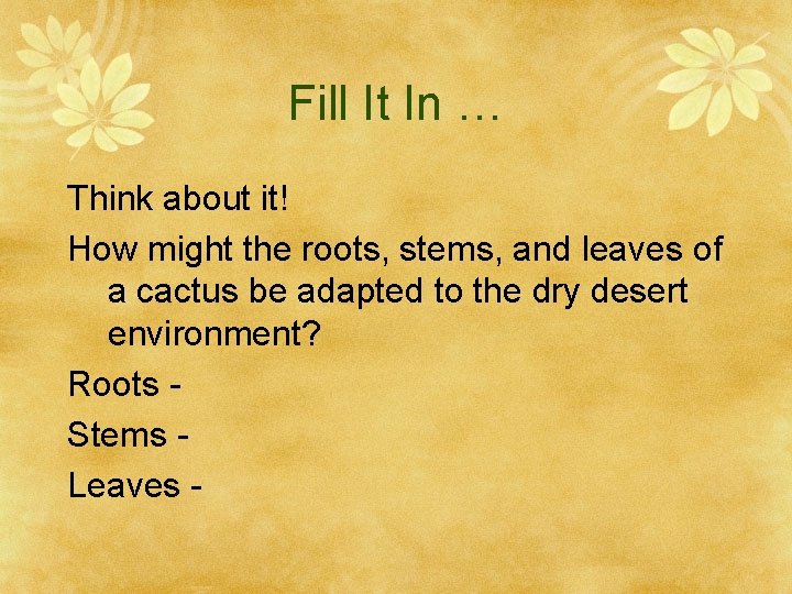 Fill It In … Think about it! How might the roots, stems, and leaves