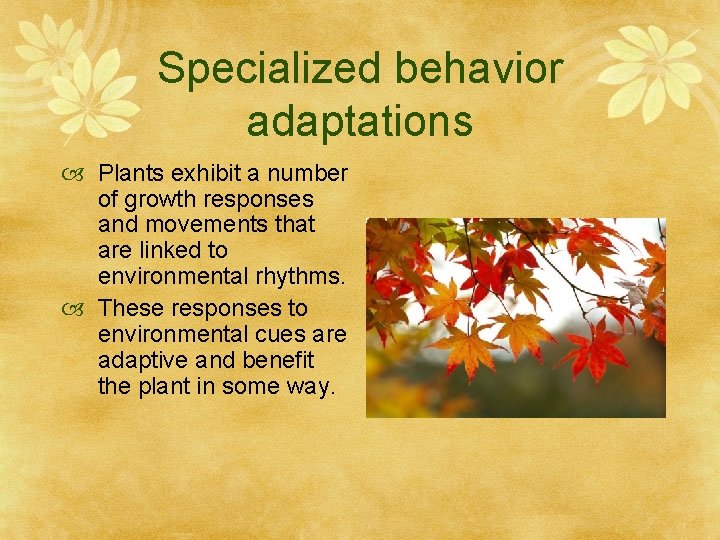 Specialized behavior adaptations Plants exhibit a number of growth responses and movements that are