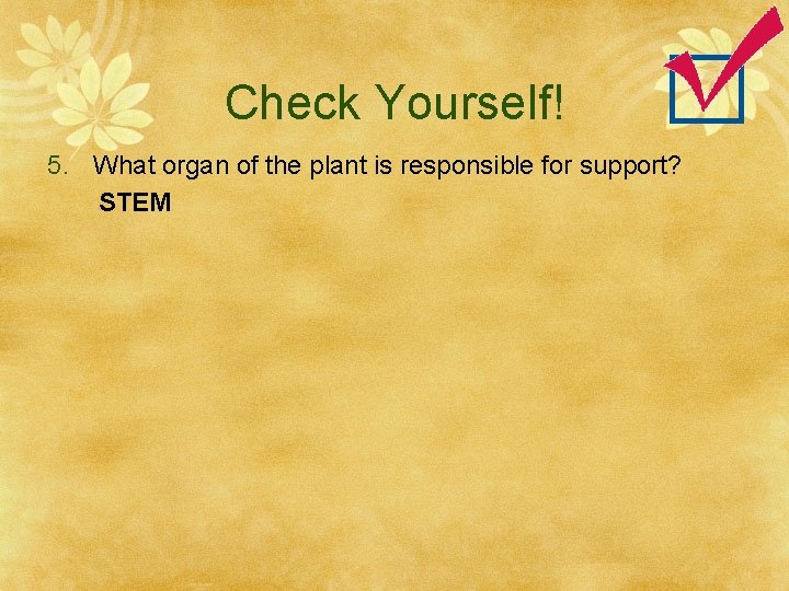 Check Yourself! 5. What organ of the plant is responsible for support? STEM 