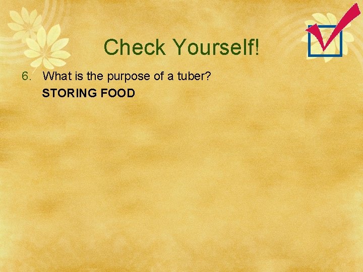 Check Yourself! 6. What is the purpose of a tuber? STORING FOOD 