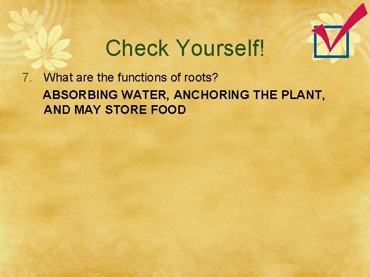 Check Yourself! 7. What are the functions of roots? ABSORBING WATER, ANCHORING THE PLANT,