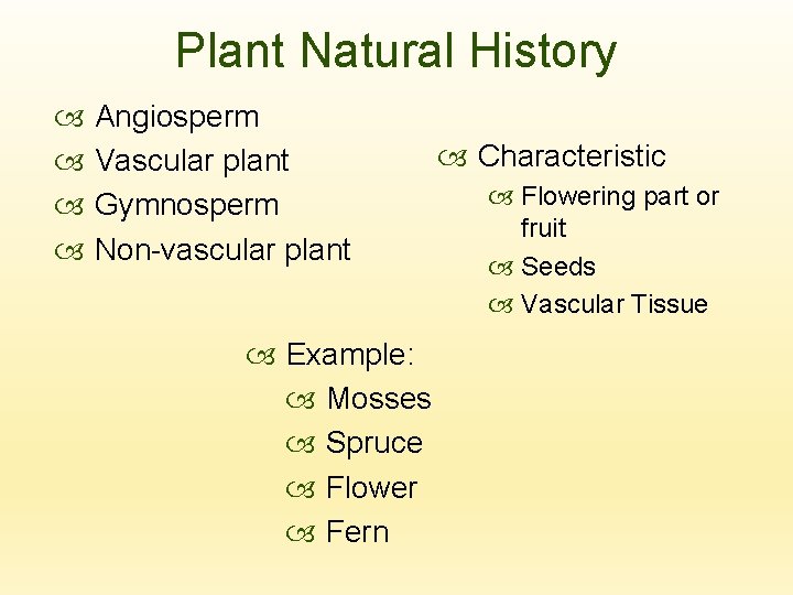 Plant Natural History Angiosperm Vascular plant Gymnosperm Non-vascular plant Example: Mosses Spruce Flower Fern