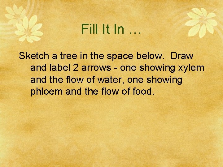Fill It In … Sketch a tree in the space below. Draw and label
