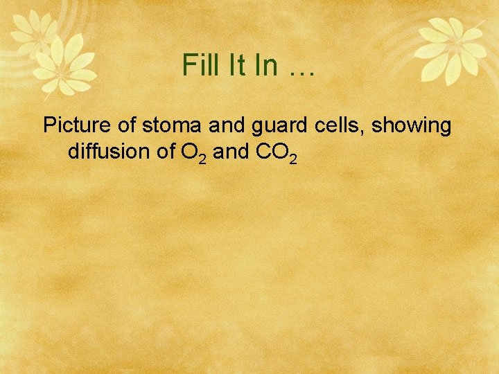 Fill It In … Picture of stoma and guard cells, showing diffusion of O
