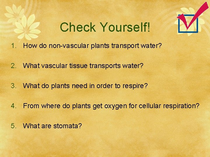 Check Yourself! 1. How do non-vascular plants transport water? 2. What vascular tissue transports