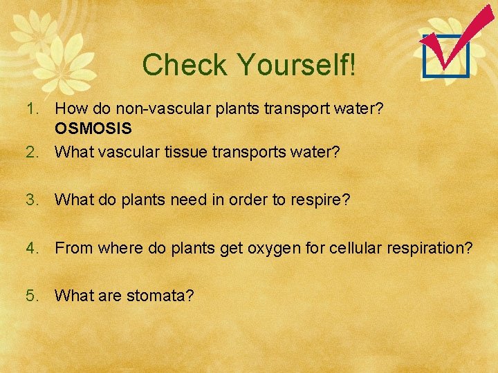 Check Yourself! 1. How do non-vascular plants transport water? OSMOSIS 2. What vascular tissue