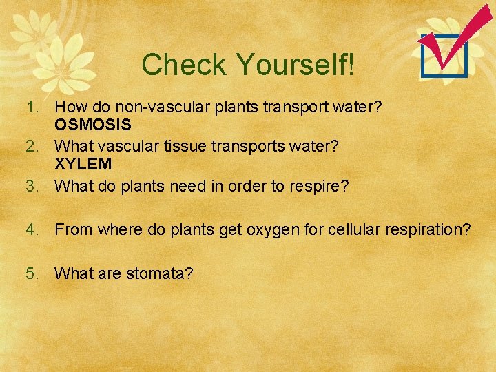 Check Yourself! 1. How do non-vascular plants transport water? OSMOSIS 2. What vascular tissue