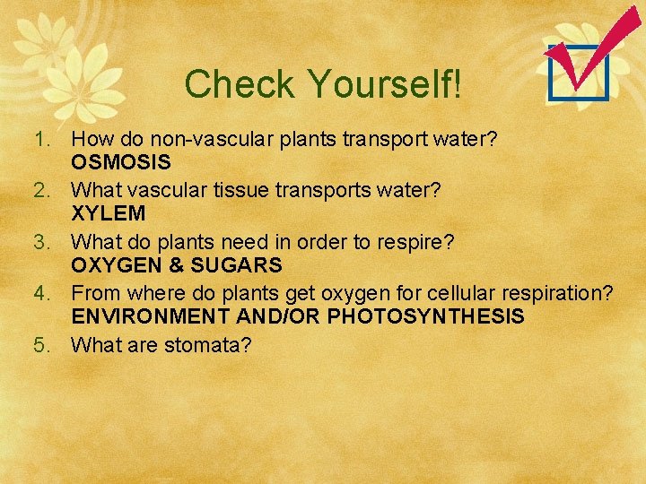 Check Yourself! 1. How do non-vascular plants transport water? OSMOSIS 2. What vascular tissue