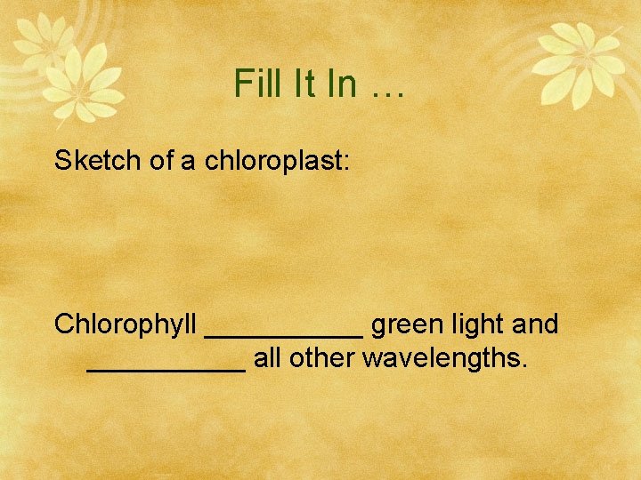 Fill It In … Sketch of a chloroplast: Chlorophyll _____ green light and _____
