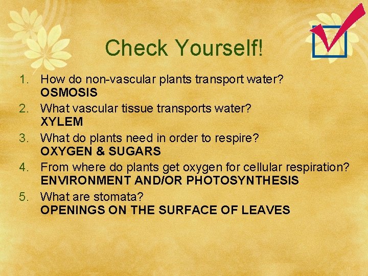 Check Yourself! 1. How do non-vascular plants transport water? OSMOSIS 2. What vascular tissue