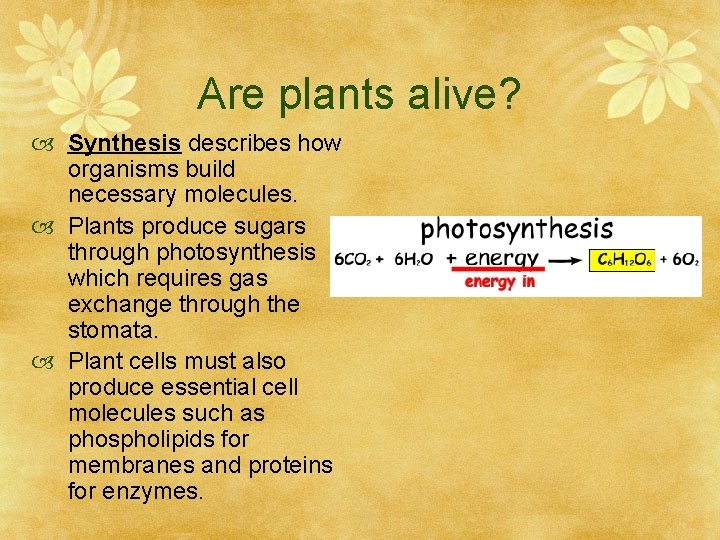 Are plants alive? Synthesis describes how organisms build necessary molecules. Plants produce sugars through
