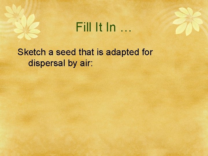 Fill It In … Sketch a seed that is adapted for dispersal by air: