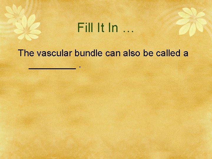 Fill It In … The vascular bundle can also be called a _____. 