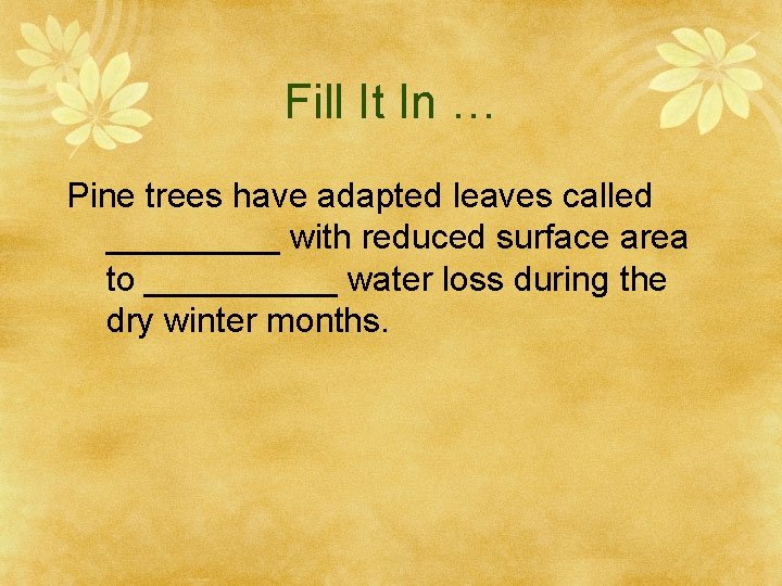 Fill It In … Pine trees have adapted leaves called _____ with reduced surface