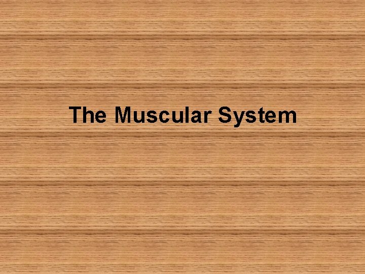 The Muscular System 