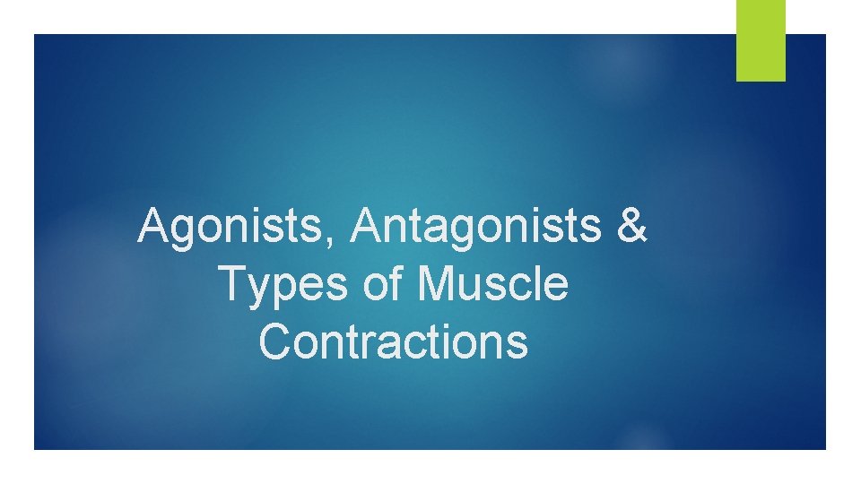 Agonists, Antagonists & Types of Muscle Contractions 
