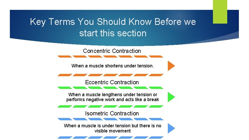 Key Terms You Should Know Before we start this section Concentric Contraction When a