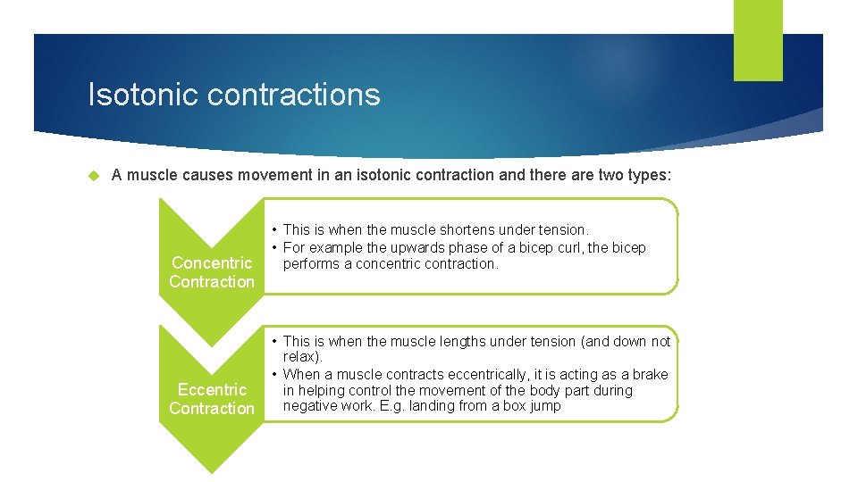 Isotonic contractions A muscle causes movement in an isotonic contraction and there are two