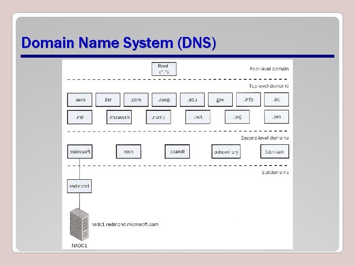 Domain Name System (DNS) 