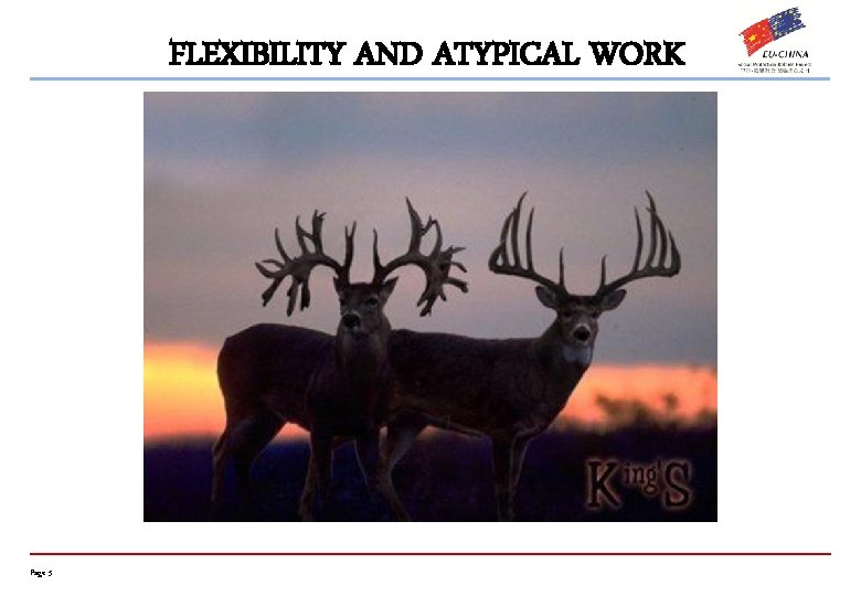 FLEXIBILITY AND ATYPICAL WORK Page 5 