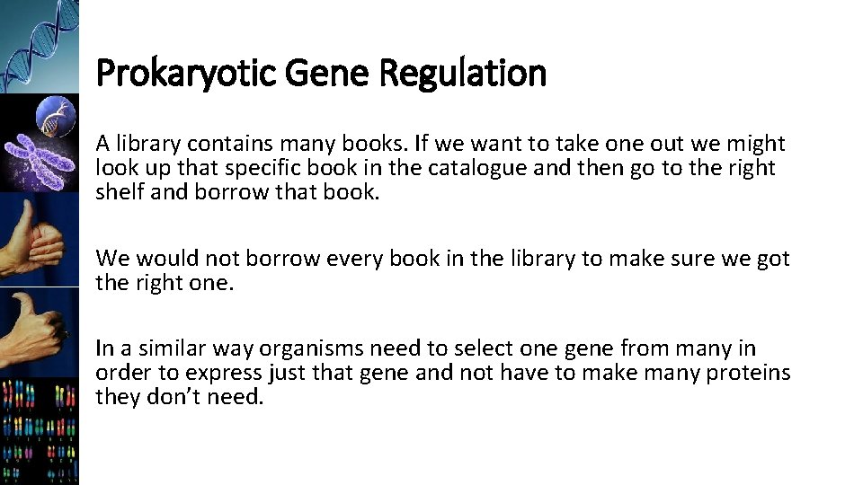 Prokaryotic Gene Regulation A library contains many books. If we want to take one