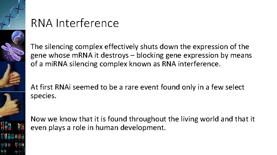 RNA Interference The silencing complex effectively shuts down the expression of the gene whose