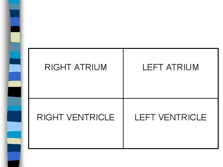 RIGHT ATRIUM LEFT ATRIUM RIGHT VENTRICLE LEFT VENTRICLE 