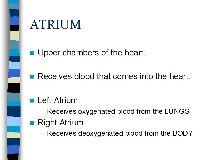 ATRIUM n Upper chambers of the heart. n Receives blood that comes into the