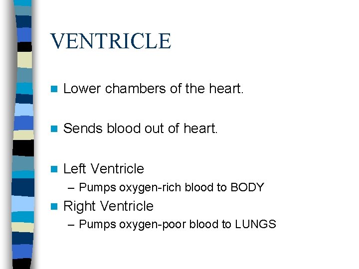 VENTRICLE n Lower chambers of the heart. n Sends blood out of heart. n