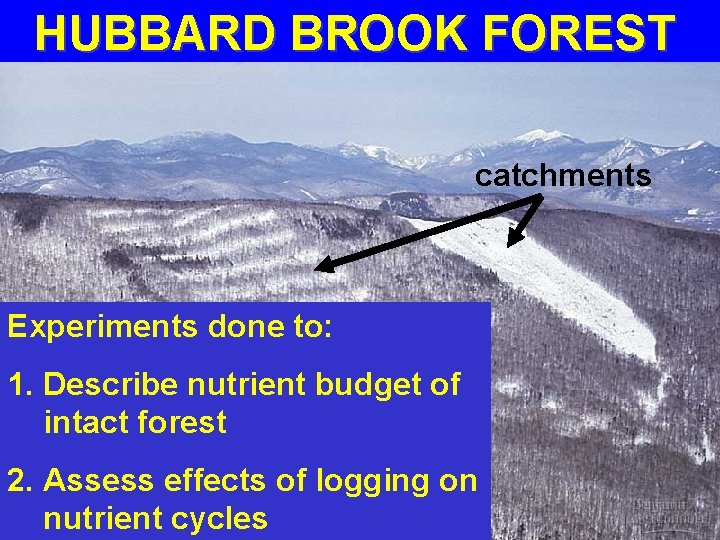 HUBBARD BROOK FOREST catchments Experiments done to: 1. Describe nutrient budget of intact forest