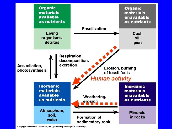 Human activity 