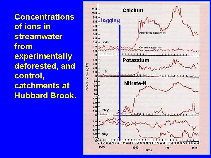 Concentrations of ions in streamwater from experimentally deforested, and control, catchments at Hubbard Brook.