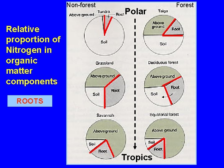 Non-forest Polar Relative proportion of Nitrogen in organic matter components ROOTS Tropics Forest 