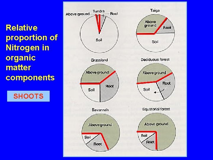 Relative proportion of Nitrogen in organic matter components SHOOTS 