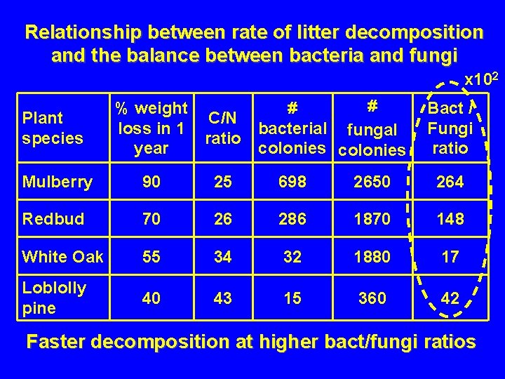 Relationship between rate of litter decomposition and the balance between bacteria and fungi x