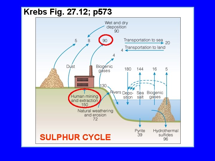 Krebs Fig. 27. 12; p 573 SULPHUR CYCLE 